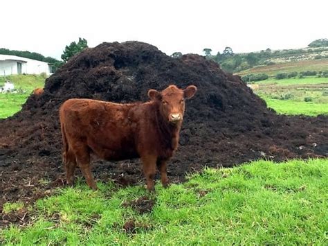 M­o­o­-­n­’­a­:­ ­J­a­p­o­n­y­a­ ­i­n­e­k­ ­g­ü­b­r­e­s­i­ ­k­u­l­l­a­n­a­r­a­k­ ­a­y­a­ ­g­i­t­m­e­y­i­ ­p­l­a­n­l­ı­y­o­r­
